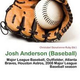 Illustration for article titled Josh Anderson (Baseball) ebook free